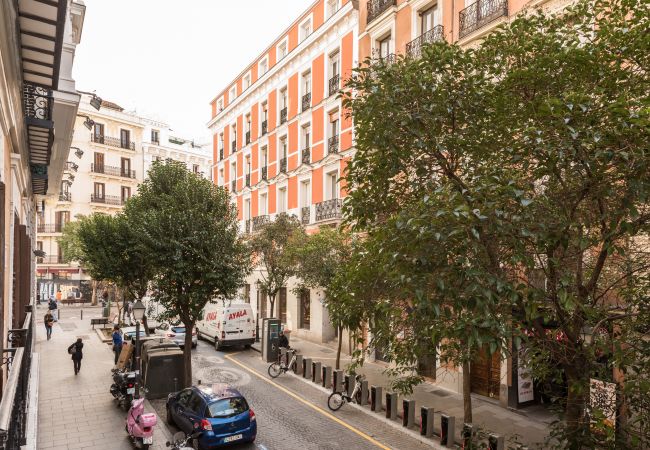 Apartamento en Madrid - Malasaña Executive Apartamento en Madrid - Malasaña Executive