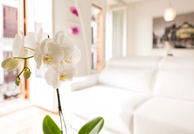 Apartamento en Madrid - Atocha Boutique - Barrio de las Letras Apartamento en Madrid - Atocha Boutique - Barrio de las Letras