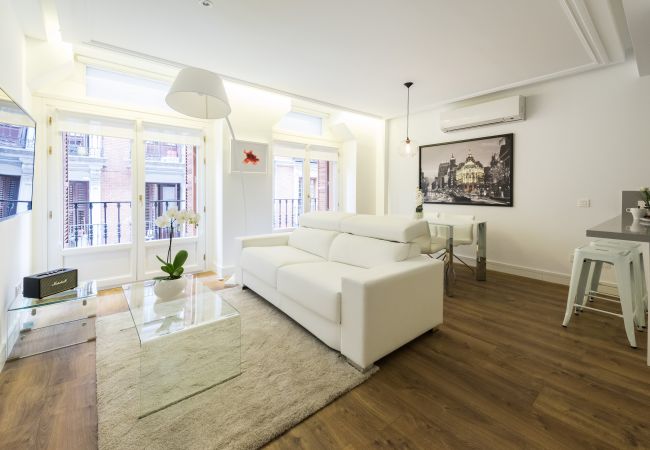 Apartamento en Madrid - Atocha Peatonal - Barrio de las Letras Apartamento en Madrid - Atocha Peatonal - Barrio de las Letras