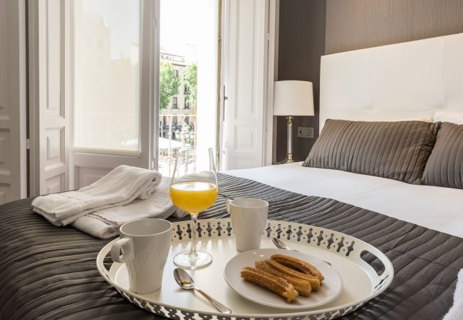 Apartamento en Madrid - Santa Ana Plaza Apartamento en Madrid - Santa Ana Plaza