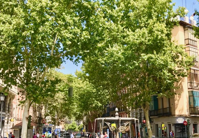 Apartamento en Madrid - Latina Suite Apartamento en Madrid - Latina Suite