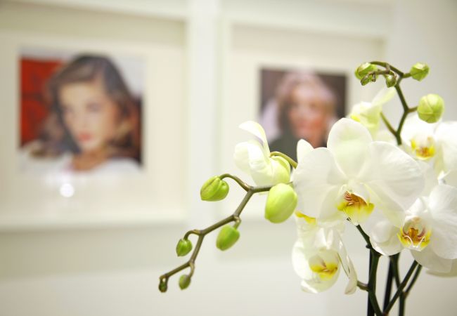 Apartamento en Madrid - Prado Suite - Barrio de las Letras Apartamento en Madrid - Prado Suite - Barrio de las Letras