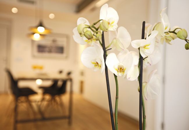 Apartamento en Madrid - Gran Via Plaza Apartamento en Madrid - Gran Via Plaza