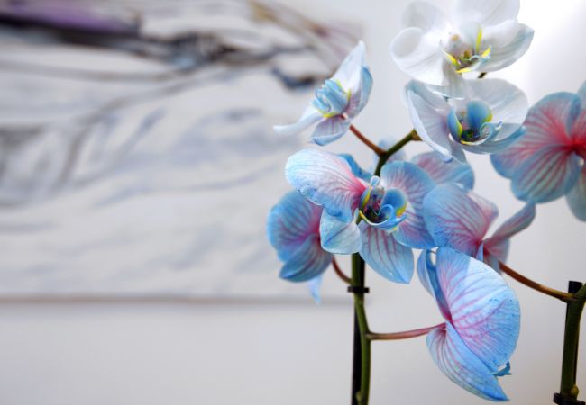 Apartamento en Madrid - Madrid Centric II Apartamento en Madrid - Madrid Centric II