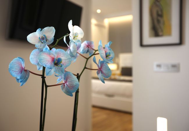 Apartamento en Madrid - Angel Square Apartamento en Madrid - Angel Square