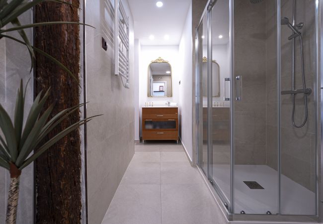 Apartamento en Madrid - Madrid Centric IV Apartamento en Madrid - Madrid Centric IV