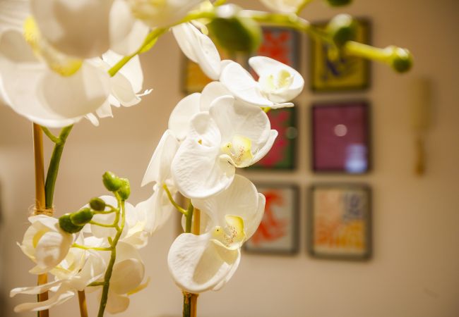 Apartamento en Madrid - Tirso Design II Apartamento en Madrid - Tirso Design II