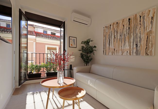 Apartamento en Madrid - Reina Sofia Boutique II Apartamento en Madrid - Reina Sofia Boutique II