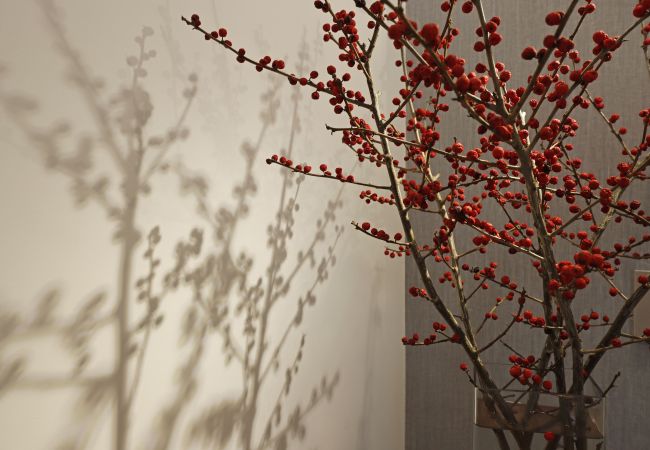 Apartamento en Madrid - Reina Sofia Boutique II Apartamento en Madrid - Reina Sofia Boutique II