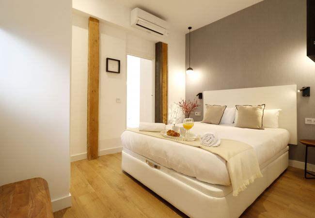 Apartamento en Madrid - Reina Sofia Boutique II Apartamento en Madrid - Reina Sofia Boutique II