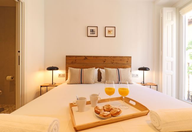 Apartamento en Madrid - Reina Sofia Suite II Apartamento en Madrid - Reina Sofia Suite II