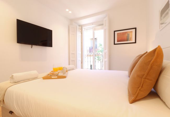 Apartamento en Madrid - Reina Sofia Suite II Apartamento en Madrid - Reina Sofia Suite II