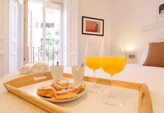 Apartamento en Madrid - Reina Sofia Suite II Apartamento en Madrid - Reina Sofia Suite II