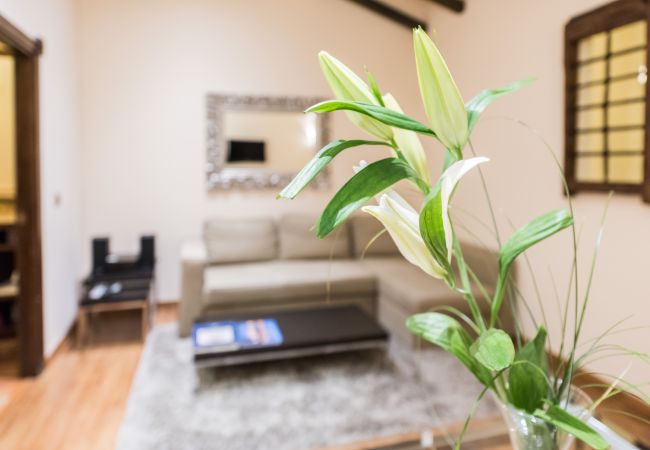 Apartment in Madrid - Downtown Jacuzzi Apartment in Madrid - Downtown Jacuzzi