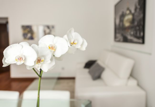 Apartment in Madrid - Chueca Urban Apartment in Madrid - Chueca Urban