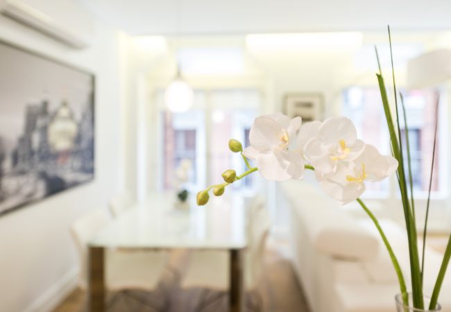 Apartment in Madrid - Atocha Museos - Barrio de las Letras Apartment in Madrid - Atocha Museos - Barrio de las Letras