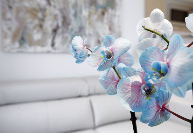 Apartment in Madrid - Latina Plaza Apartment in Madrid - Latina Plaza