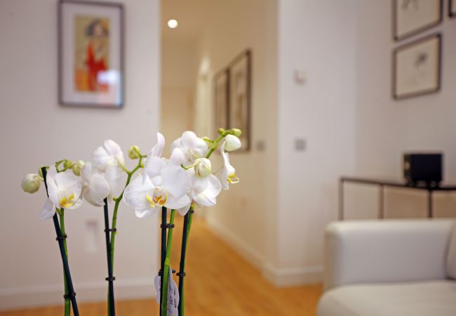 Apartment in Madrid - Tirso Boutique Apartment in Madrid - Tirso Boutique