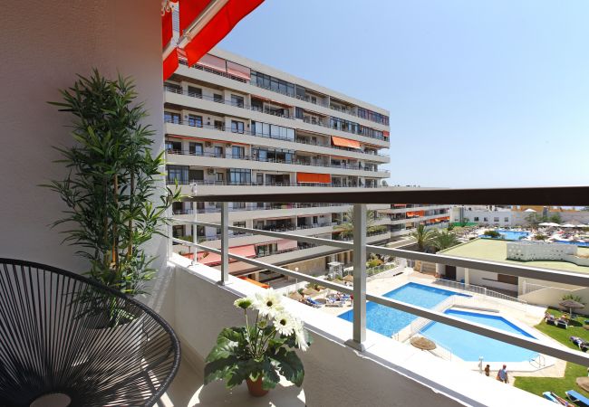 Apartment in Torremolinos - Nogalera Terrace III - Adults Only Apartment in Torremolinos - Nogalera Terrace III - Adults Only