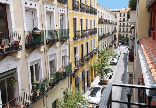 Apartment in Madrid - Sofia II Apartment in Madrid - Sofia II