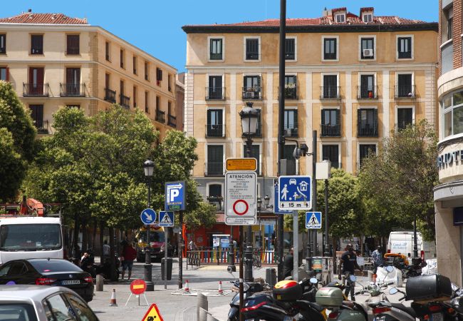 Apartment in Madrid - Sofia II Apartment in Madrid - Sofia II