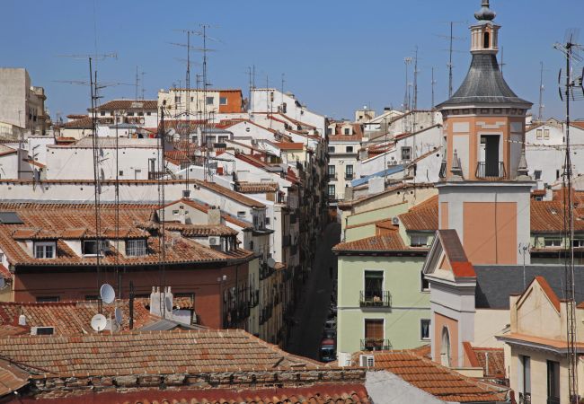 Apartment in Madrid - Sofia II Apartment in Madrid - Sofia II