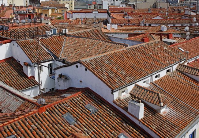 Apartment in Madrid - Sofia II Apartment in Madrid - Sofia II