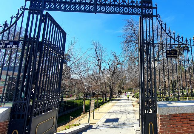 Apartment in Madrid - Retiro Park Apartment in Madrid - Retiro Park