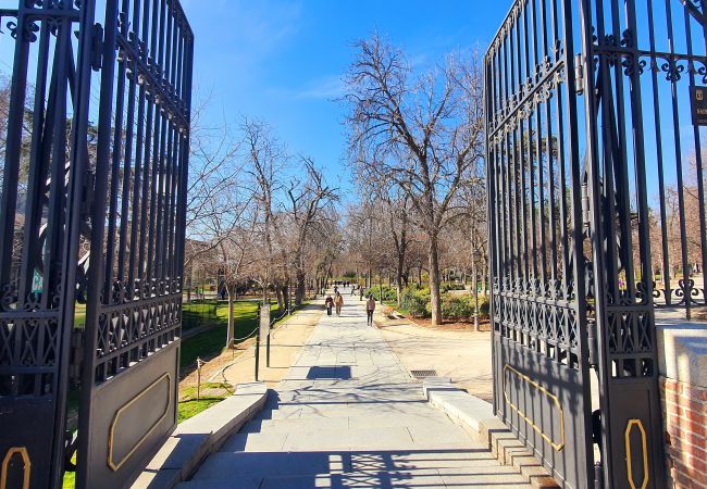 Apartment in Madrid - Retiro Park Apartment in Madrid - Retiro Park